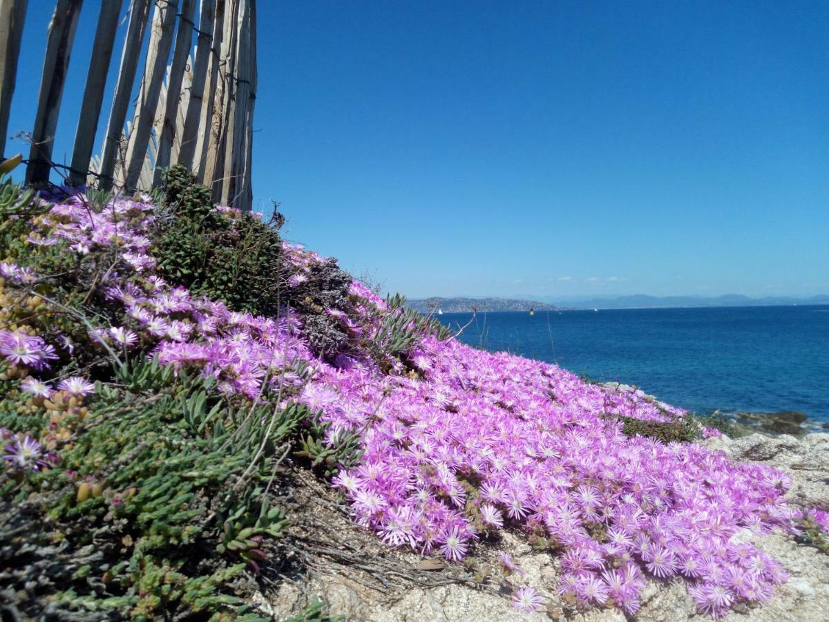 Les Calanques Διαμέρισμα Les Issambres Εξωτερικό φωτογραφία